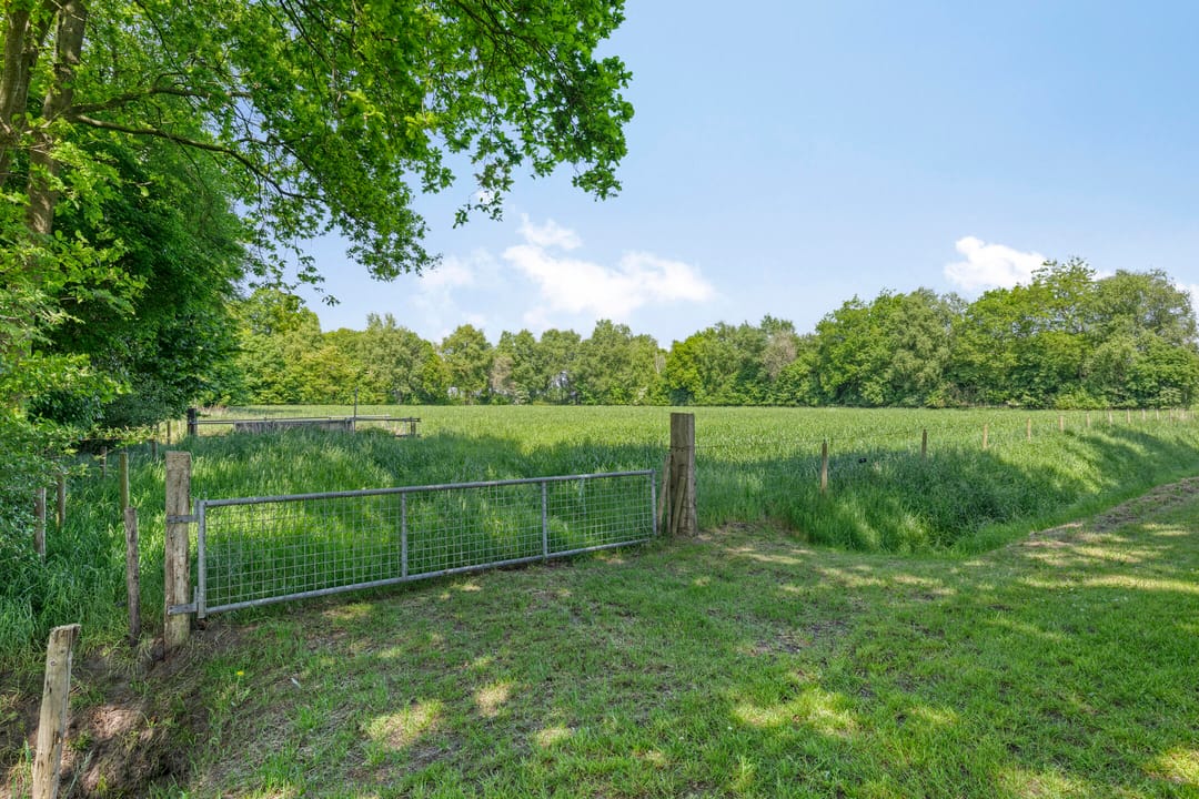 Foto 11 van Zandvoort 14