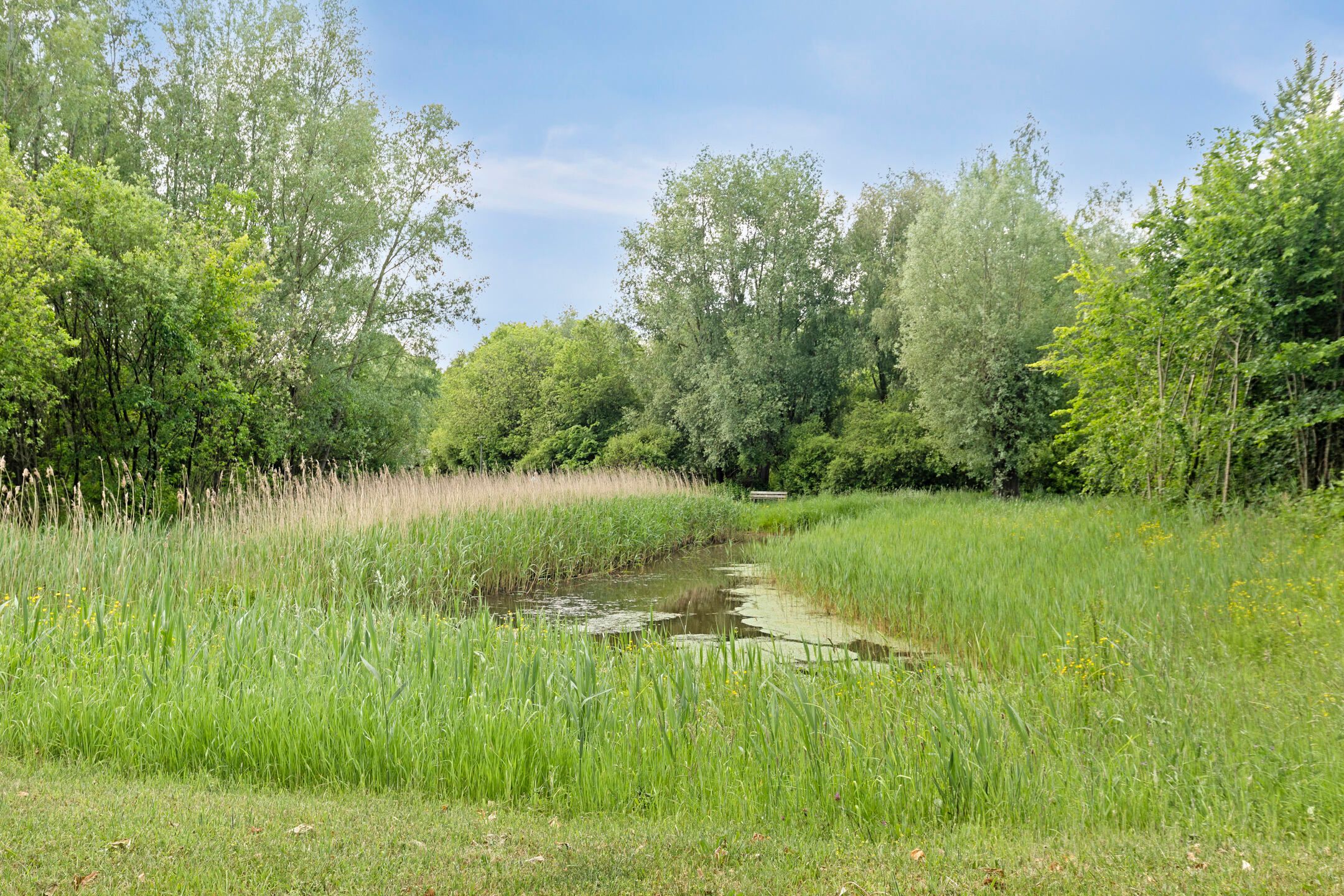 Foto 6 van Boelenkamp 22