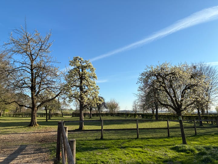 Foto 36 van Bruisterbosch 37