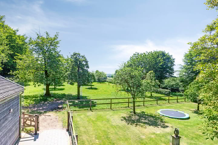 Foto 37 van Bruisterbosch 37