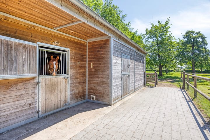 Foto 41 van Bruisterbosch 37