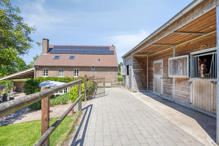 Foto 42 van Bruisterbosch 37