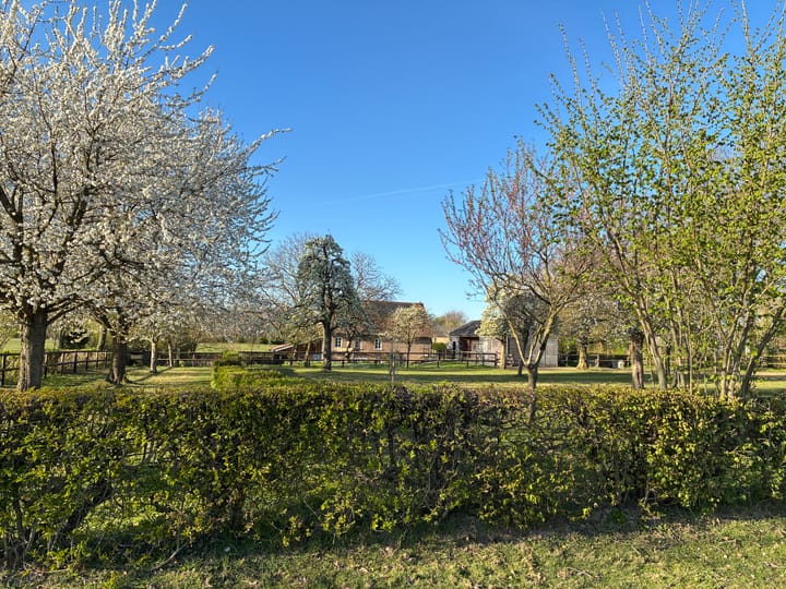 Foto 49 van Bruisterbosch 37