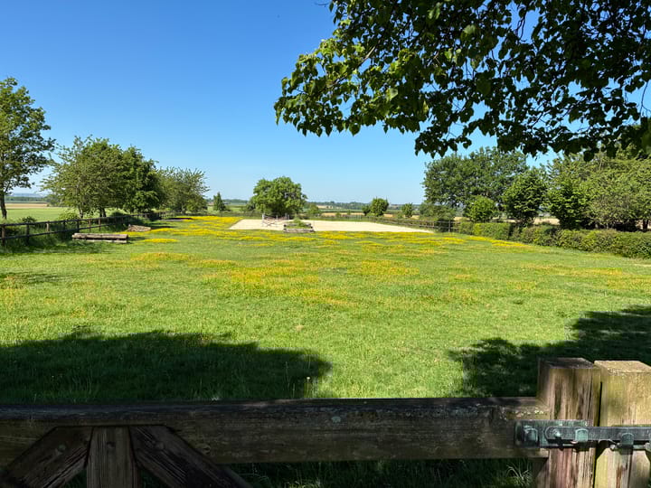 Foto 51 van Bruisterbosch 37