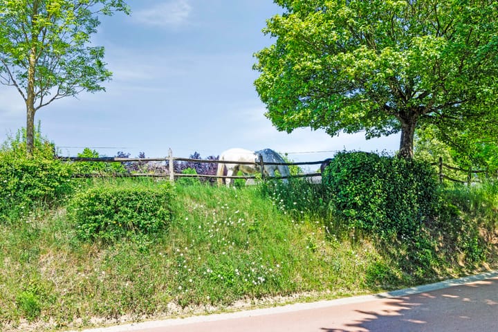 Foto 54 van Bruisterbosch 37