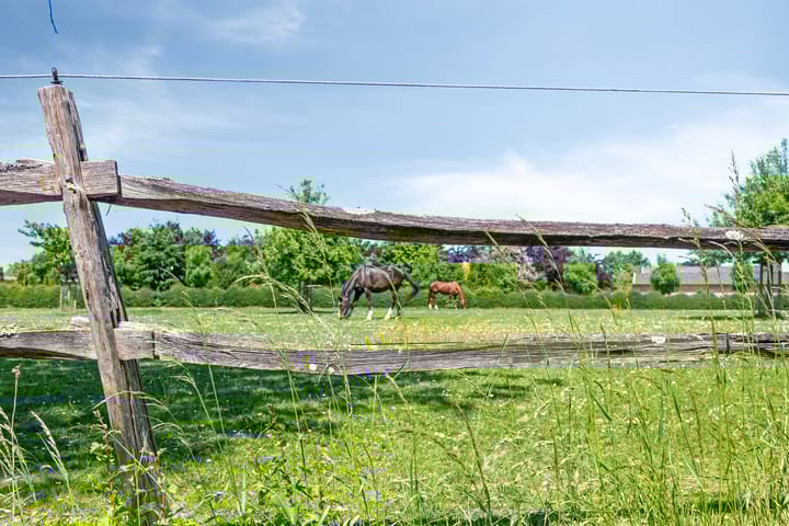 Foto 55 van Bruisterbosch 37