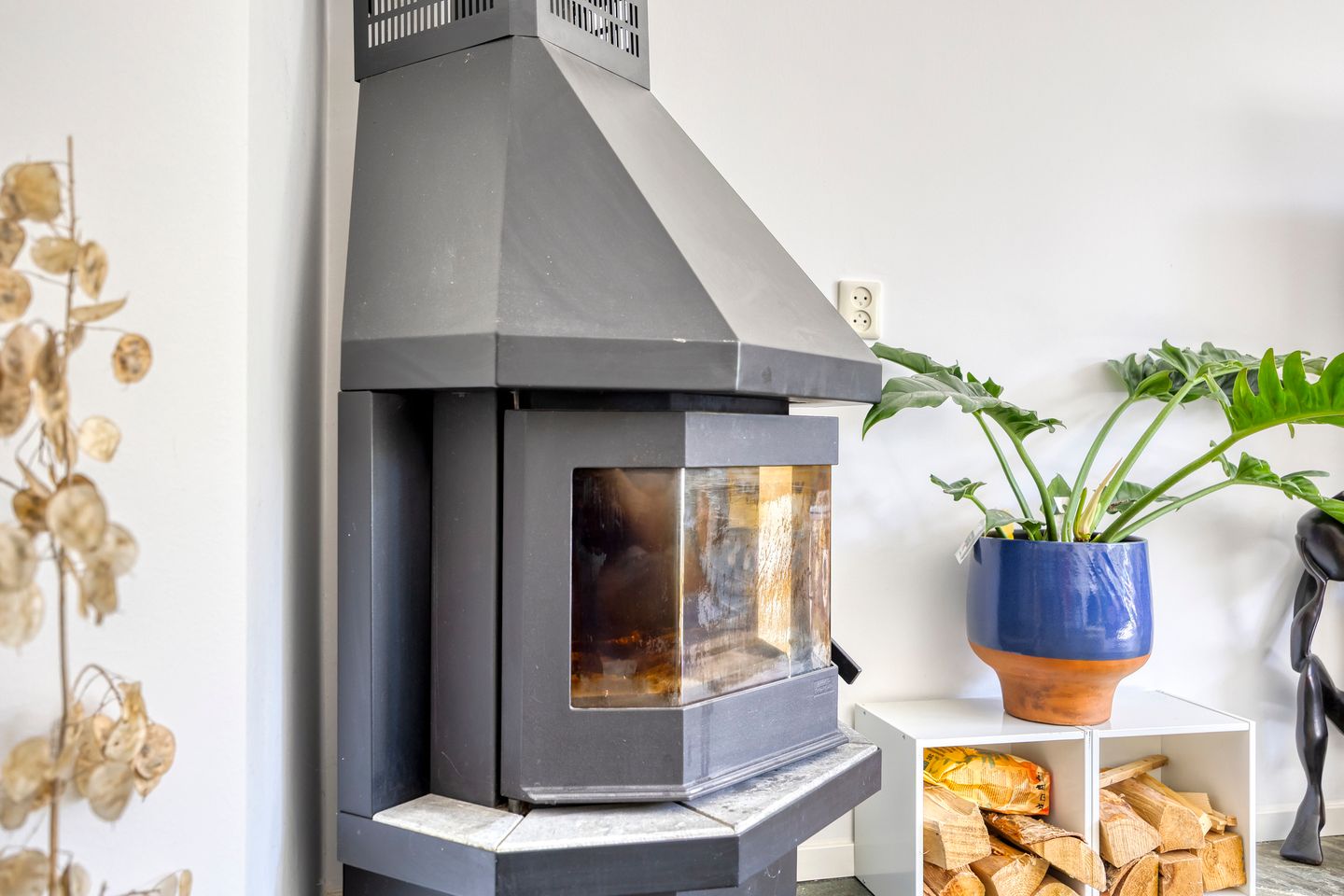 Foto 4 van Portugesezoom 12