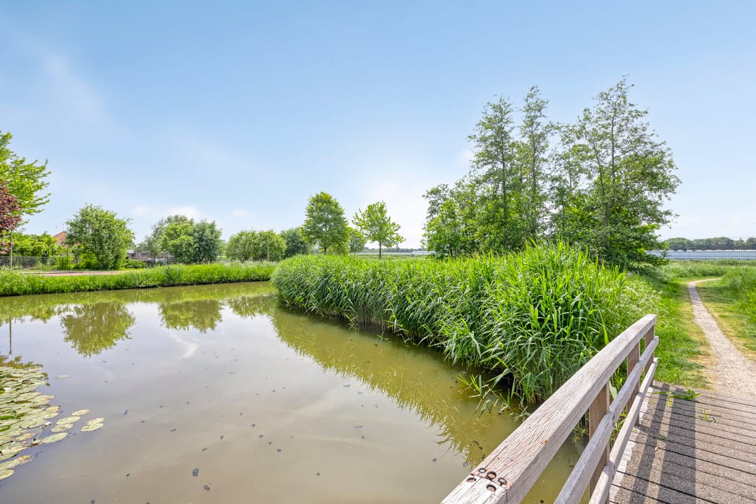 Foto 41 van Portugesezoom 12