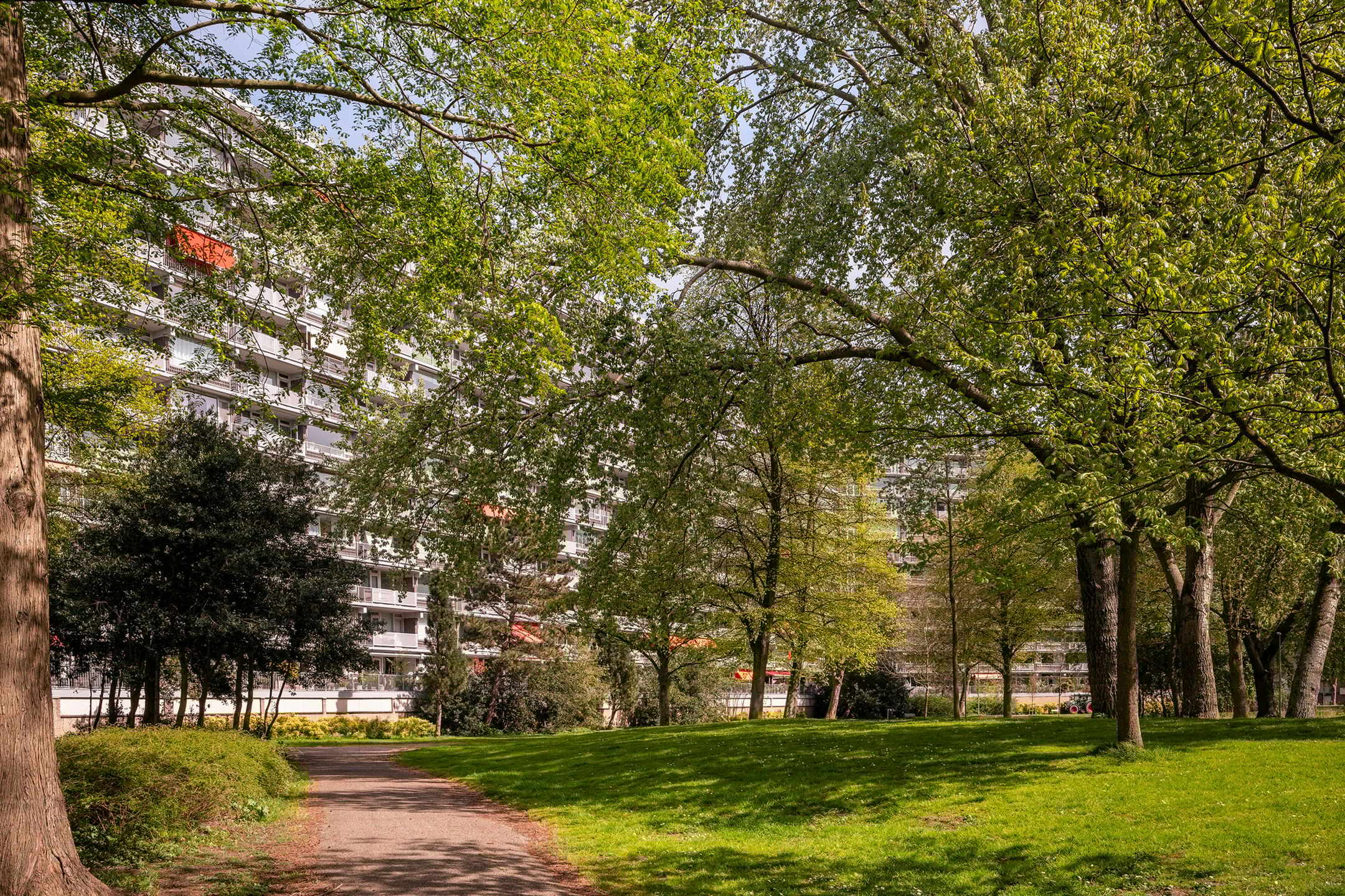 Foto 21 van Sibeliusplein 256