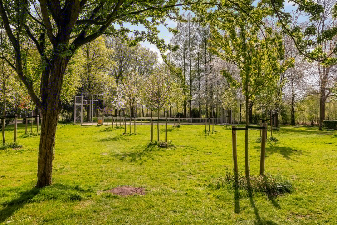 Foto 22 van Sibeliusplein 256