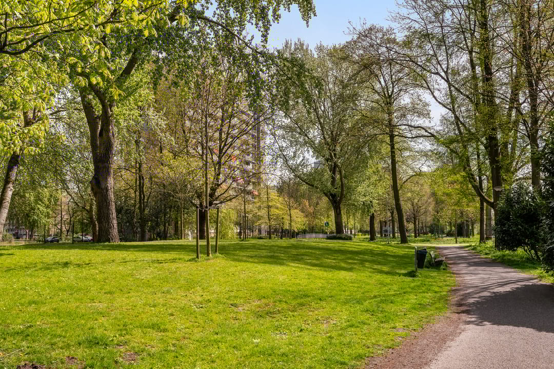 Foto 23 van Sibeliusplein 256