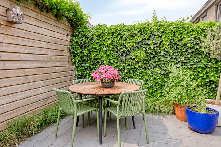 Foto 24 van Blauwselmolen 7