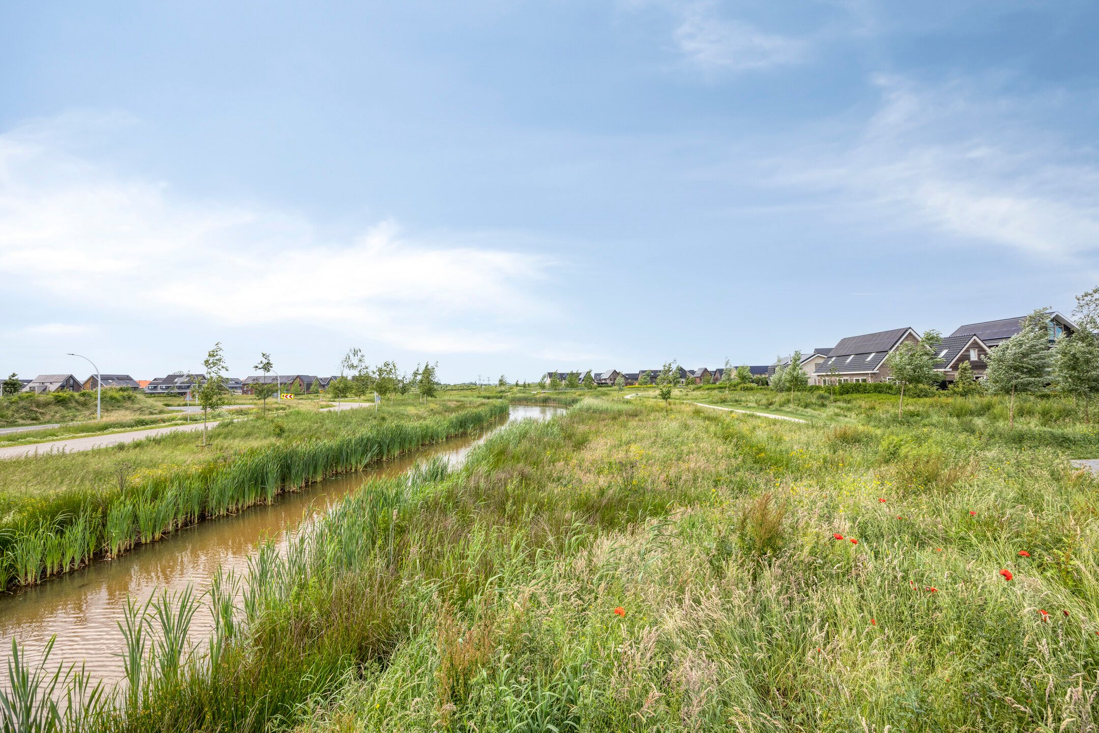 Photo 33 of Blauwselmolen 7