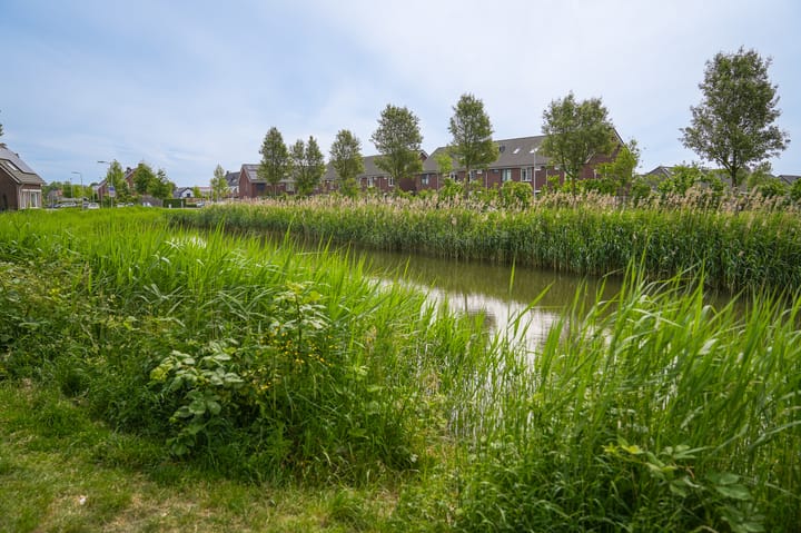 Foto 37 van Verschuurestraat 6