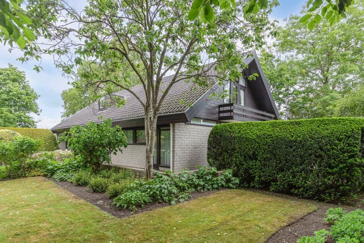 Foto 47 van Ketting 19