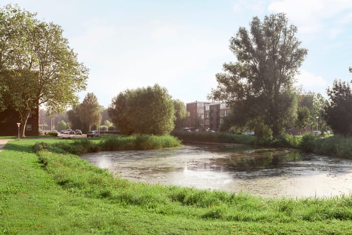 Foto 18 van Maasstraat 428