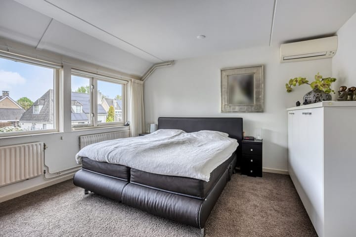 Foto 5 van Buizerd 222