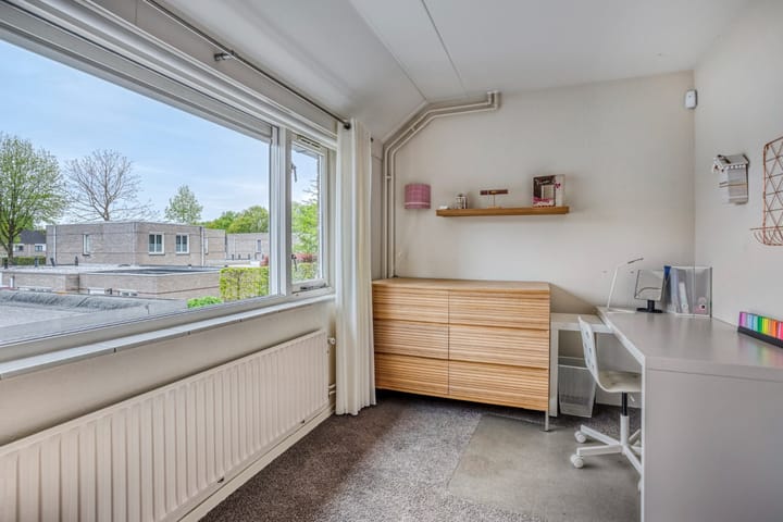 Foto 22 van Buizerd 222