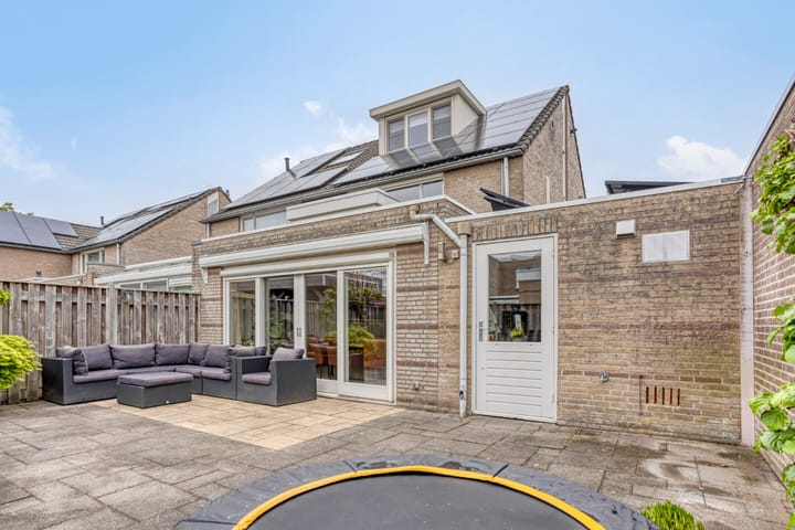 Foto 30 van Buizerd 222