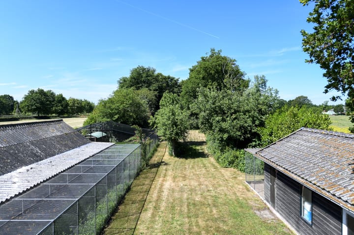 Foto 3 van Harnsesteeg 14