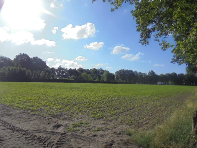 Bekijk foto 3 van Tiggeltsebergstraat