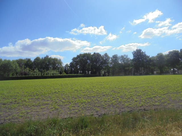 Bekijk foto 4 van Tiggeltsebergstraat
