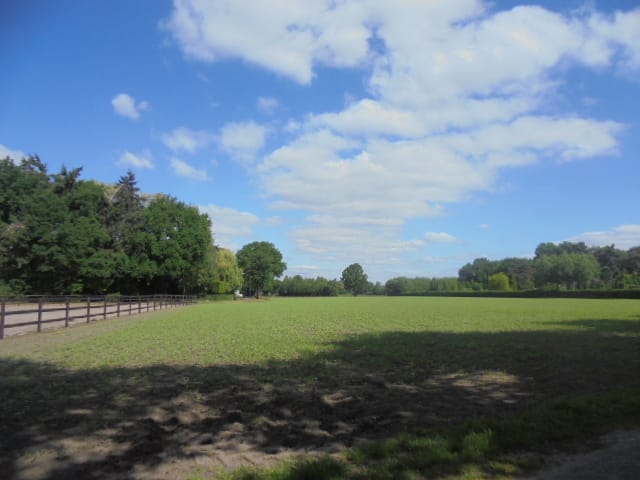 Bekijk foto 5 van Tiggeltsebergstraat