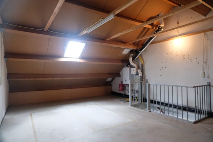 Foto 12 van Sleutelbloem 34