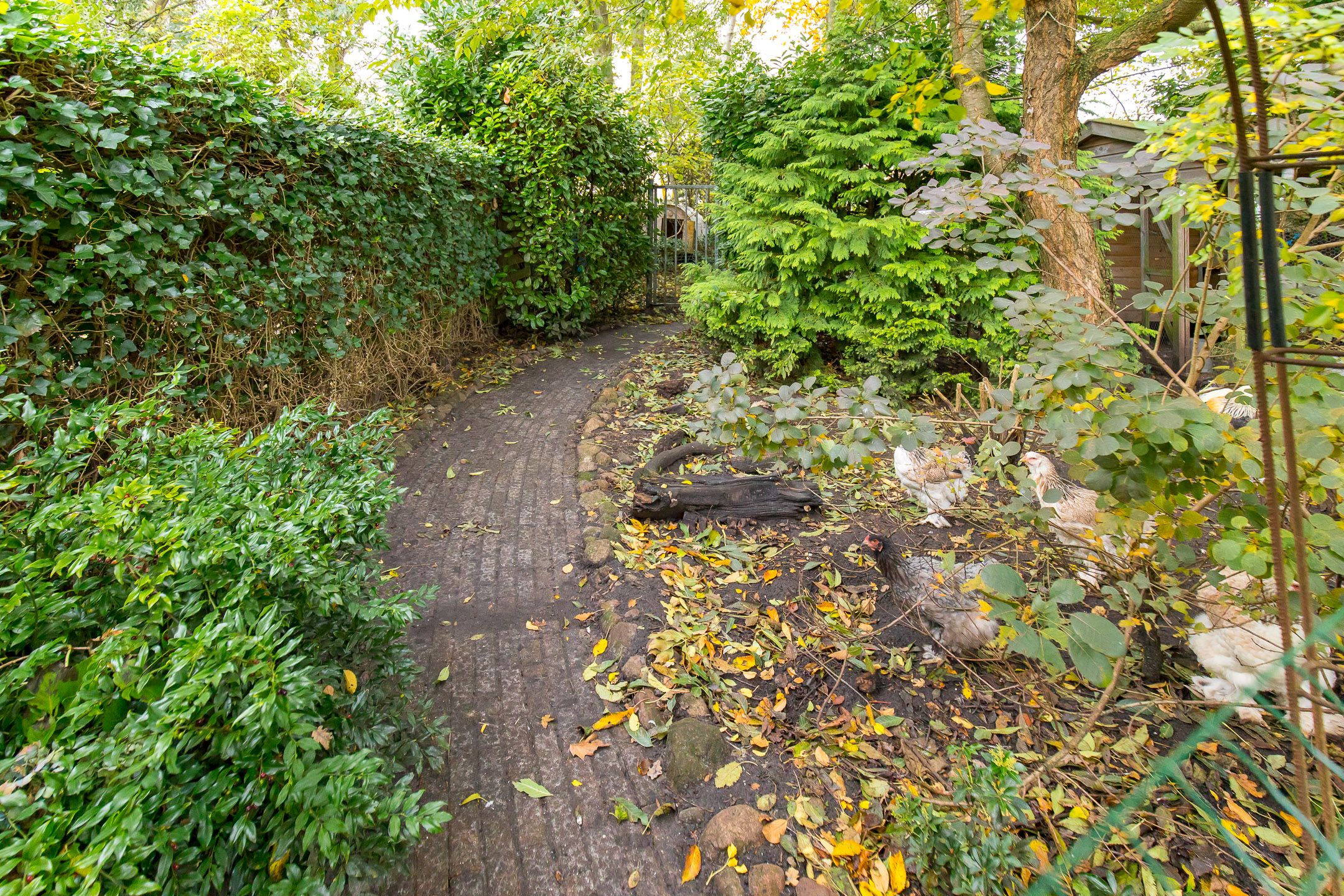 Foto 45 van Cereskade 11