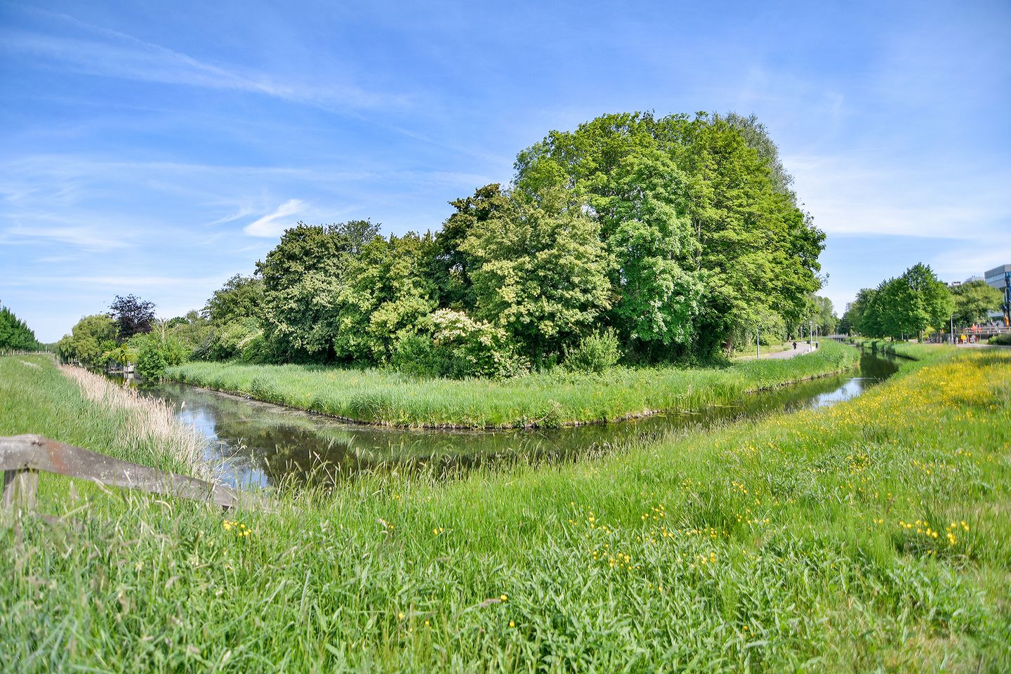 Foto 19 van Saturnusstraat 165