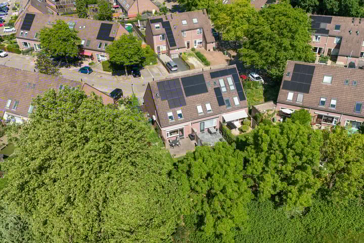 Foto 5 van Hegdambroek 1616