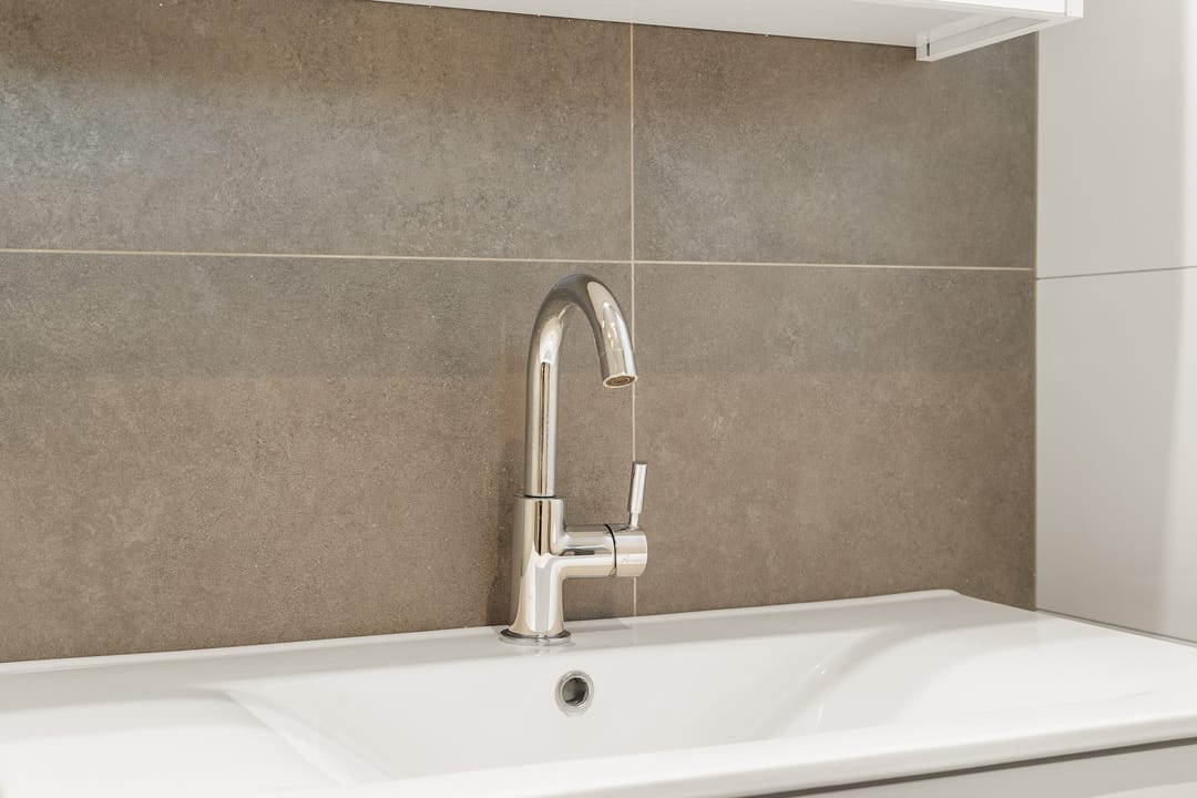 Foto 37 van Hegdambroek 1616