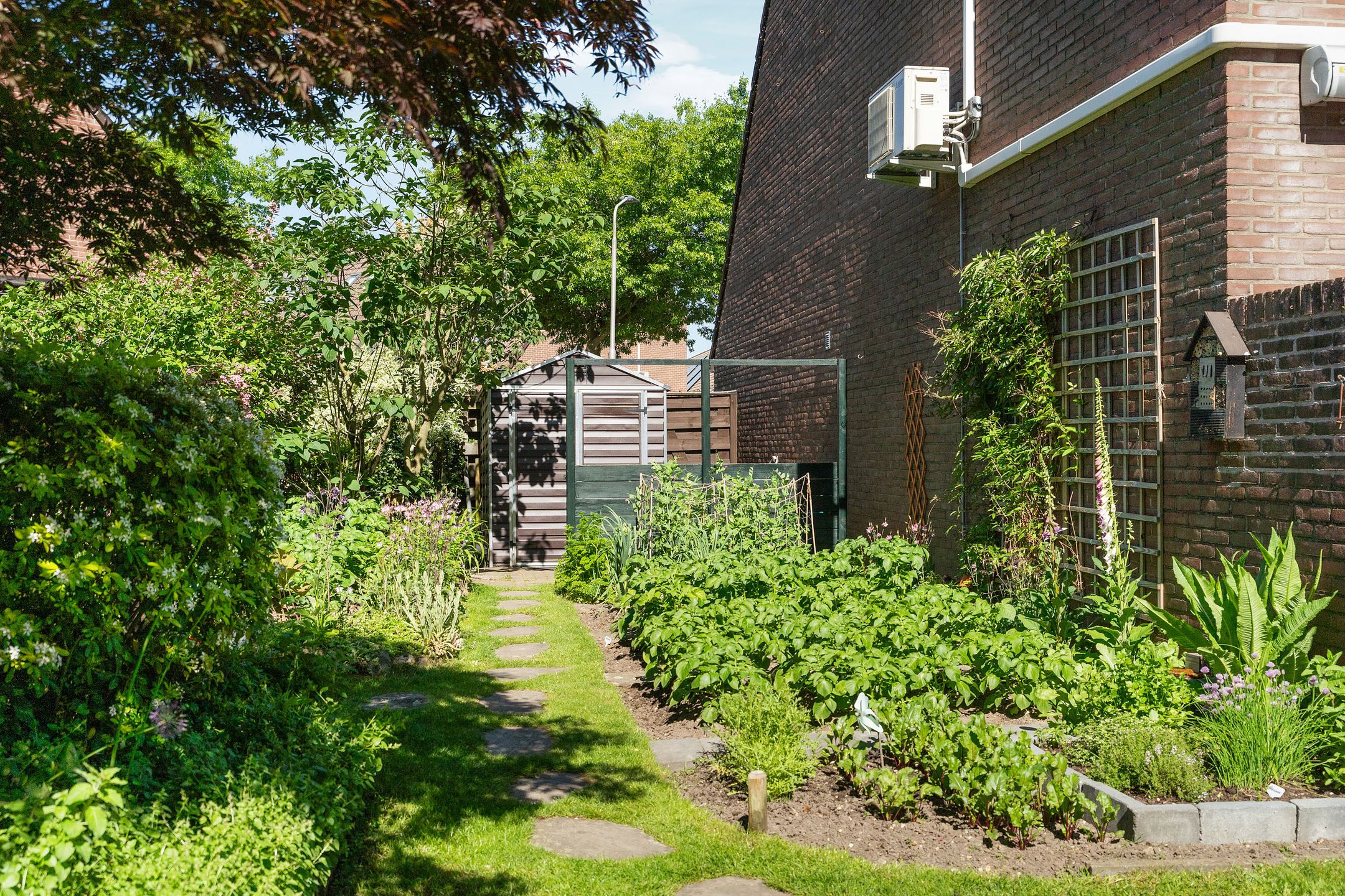 Foto 54 van Hegdambroek 1616