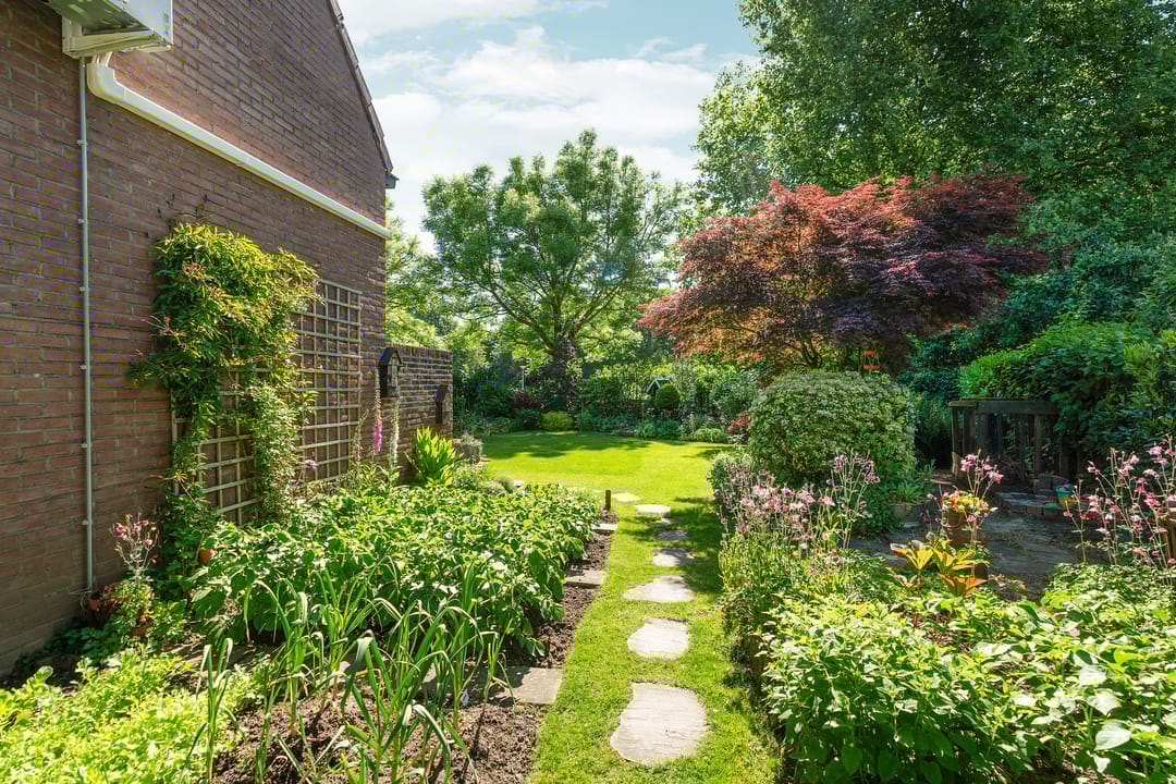 Foto 56 van Hegdambroek 1616