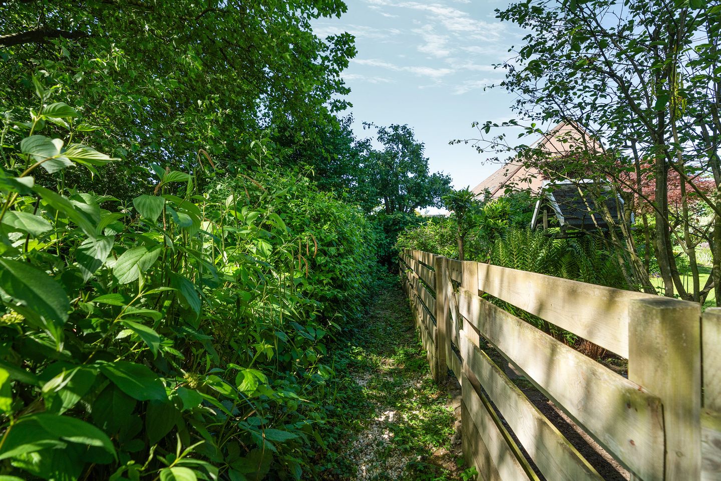 Foto 59 van Hegdambroek 1616