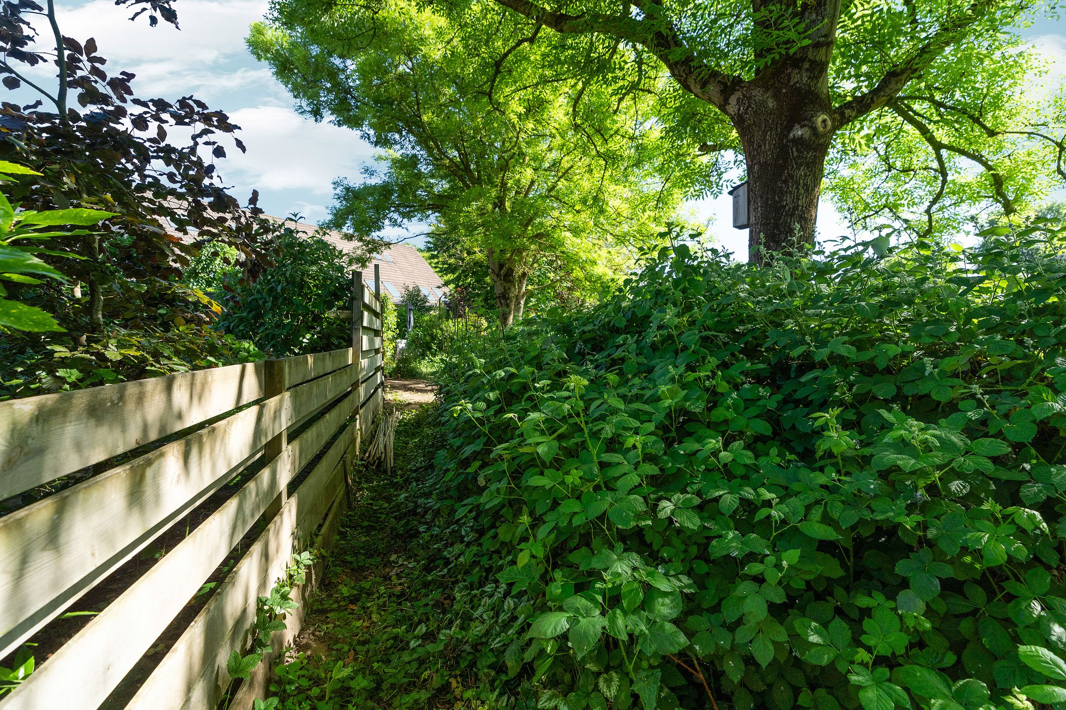 Foto 60 van Hegdambroek 1616