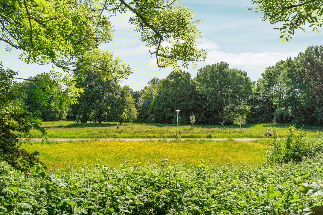 Foto 61 van Hegdambroek 1616