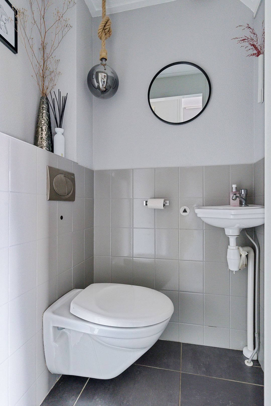 Foto 8 van Dwergstern 3