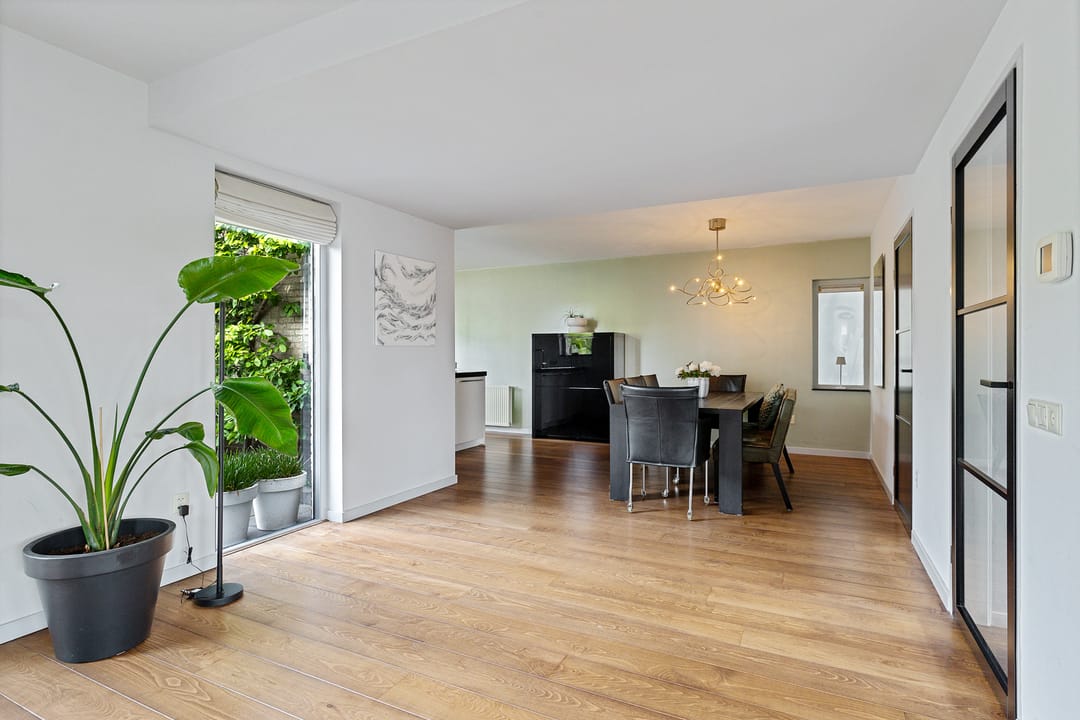 Foto 11 van Dwergstern 3