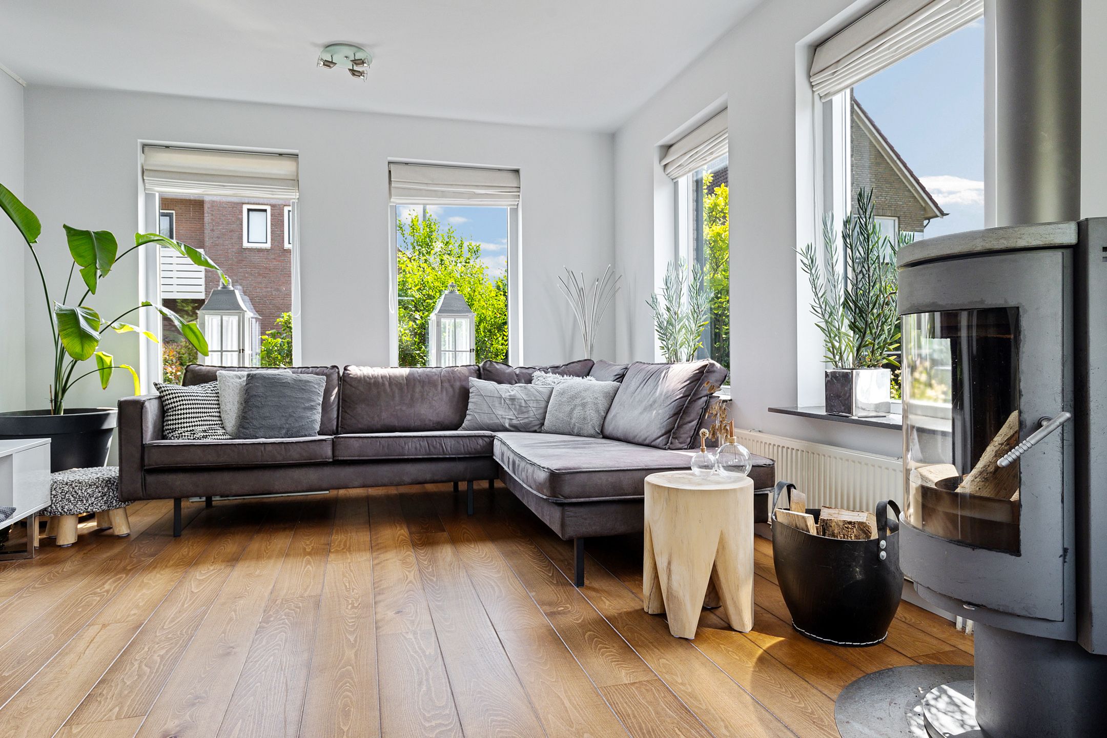 Foto 9 van Dwergstern 3