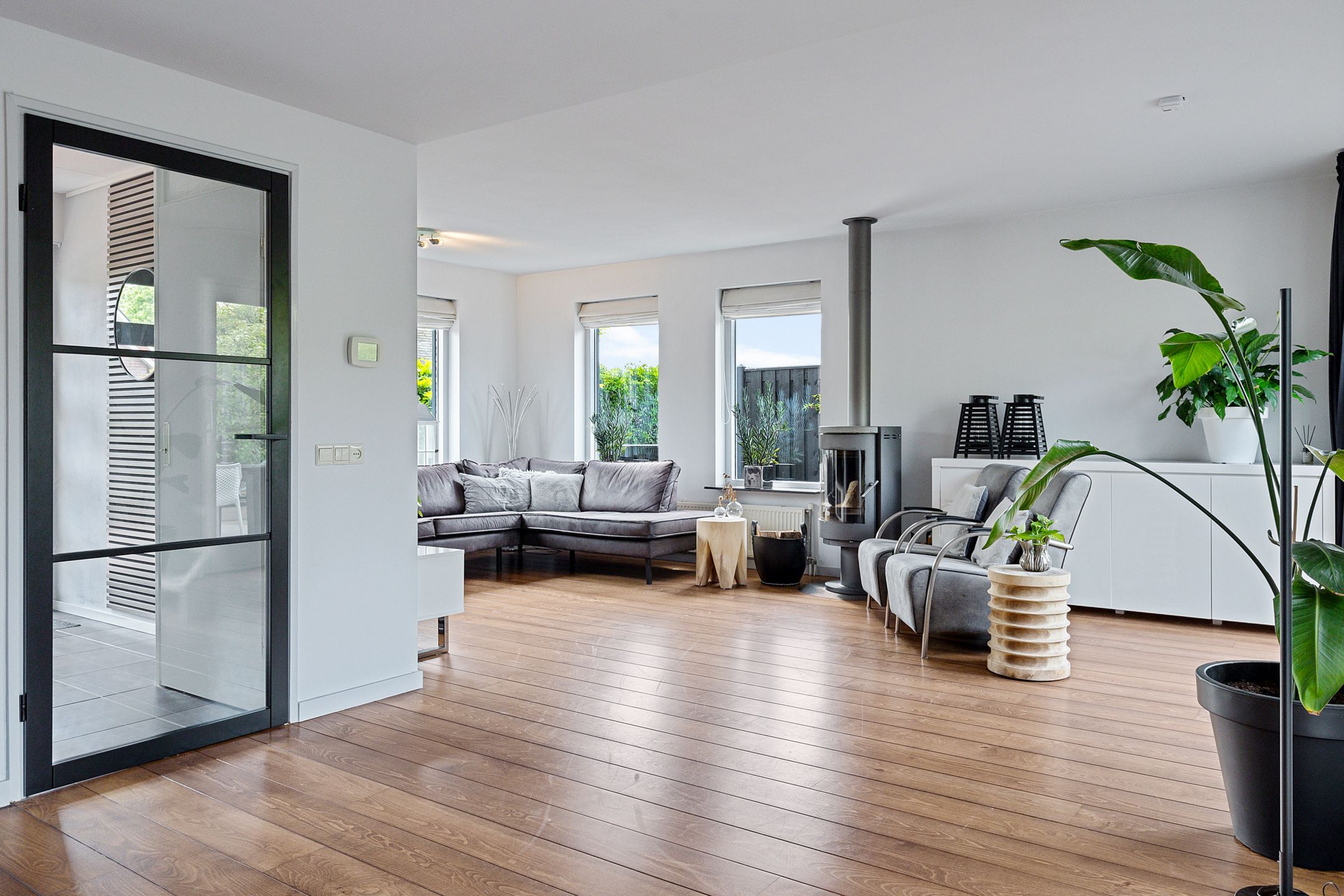 Foto 15 van Dwergstern 3