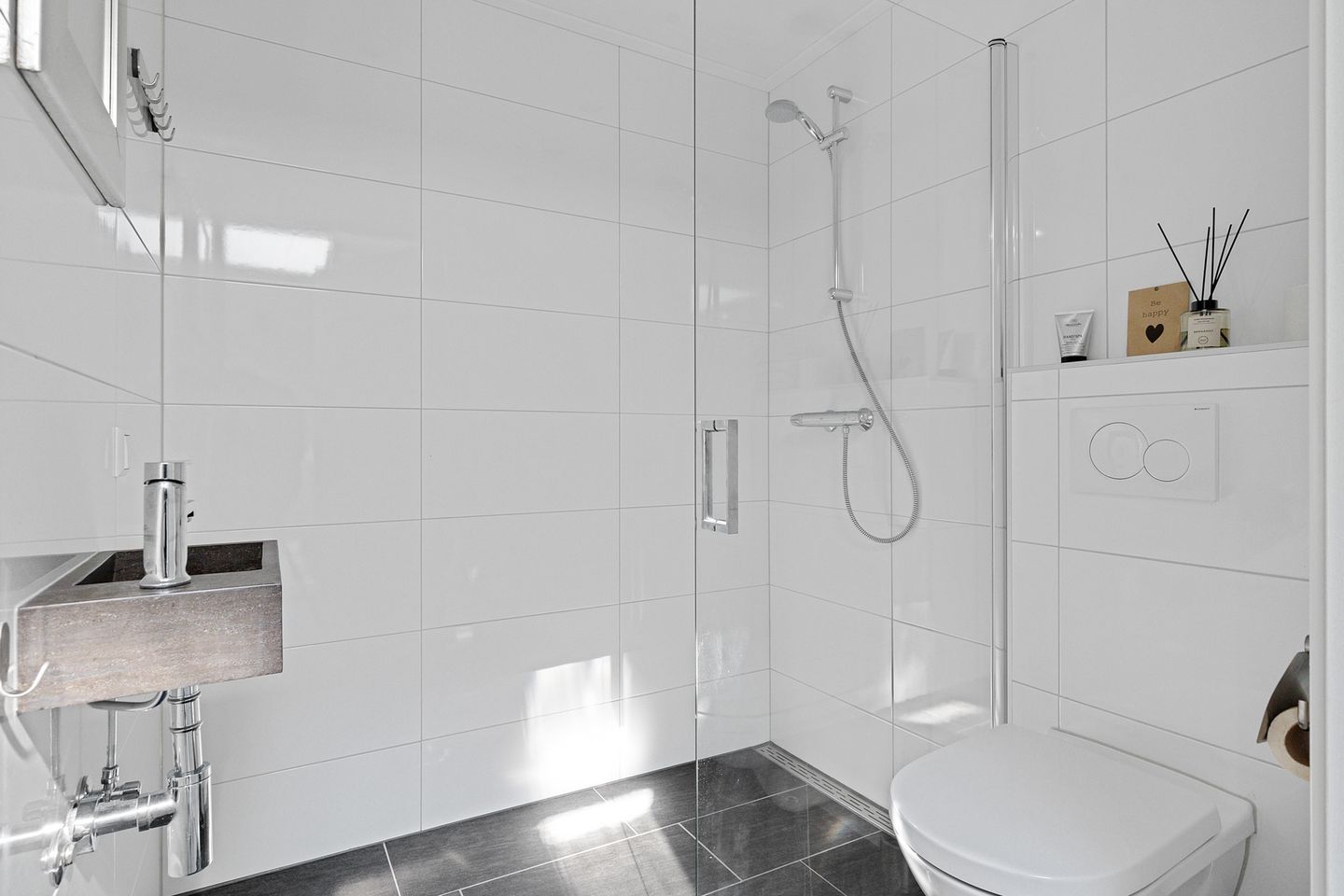 Foto 19 van Dwergstern 3