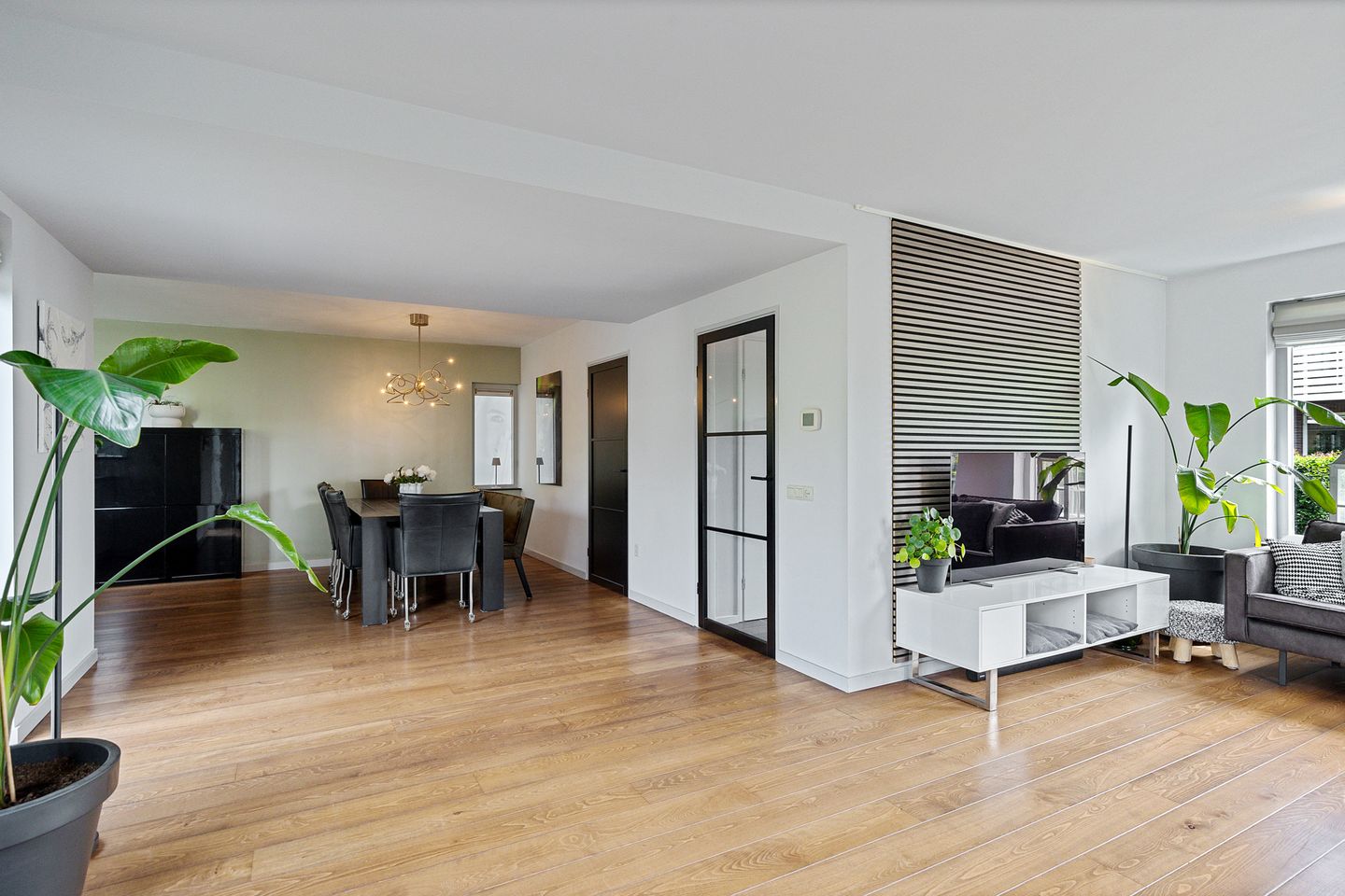 Foto 10 van Dwergstern 3