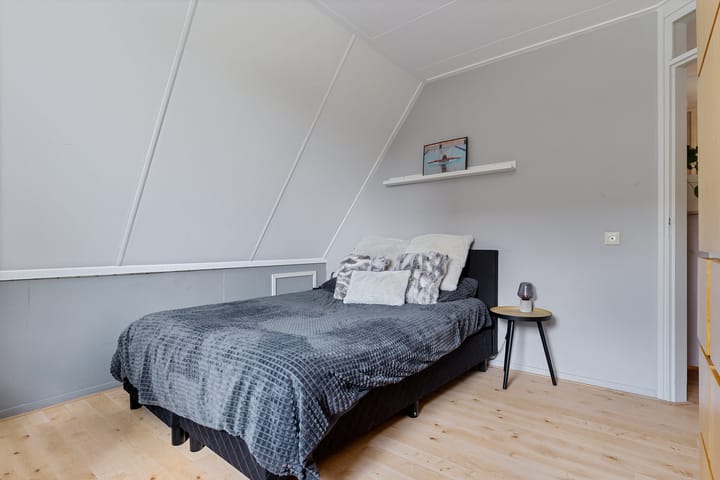 Foto 28 van Dwergstern 3