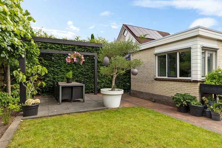 Foto 33 van Dwergstern 3