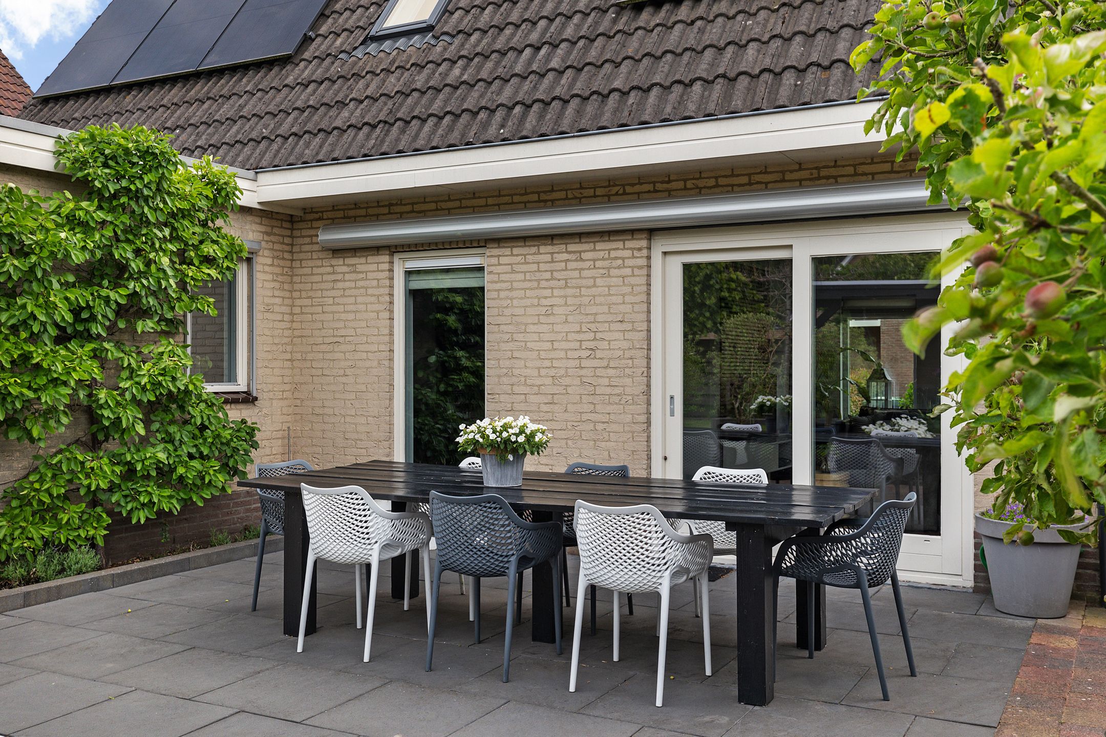 Foto 36 van Dwergstern 3