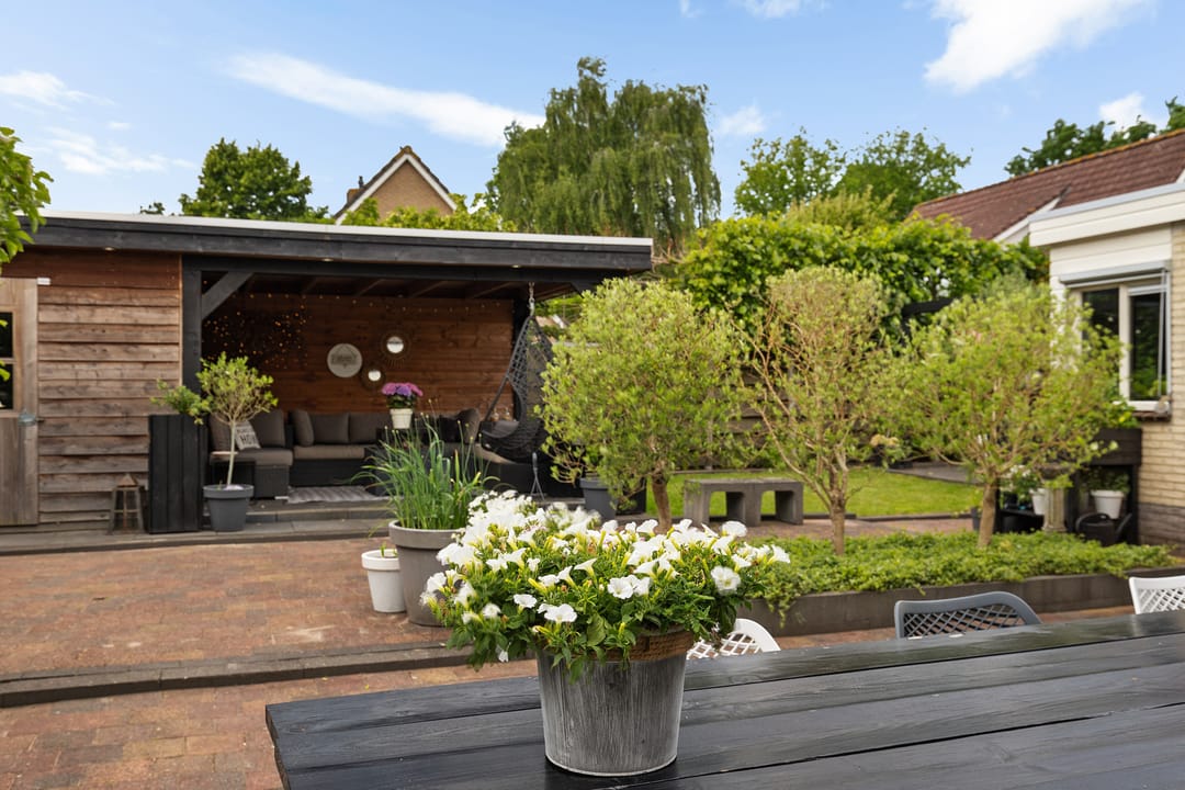 Foto 38 van Dwergstern 3