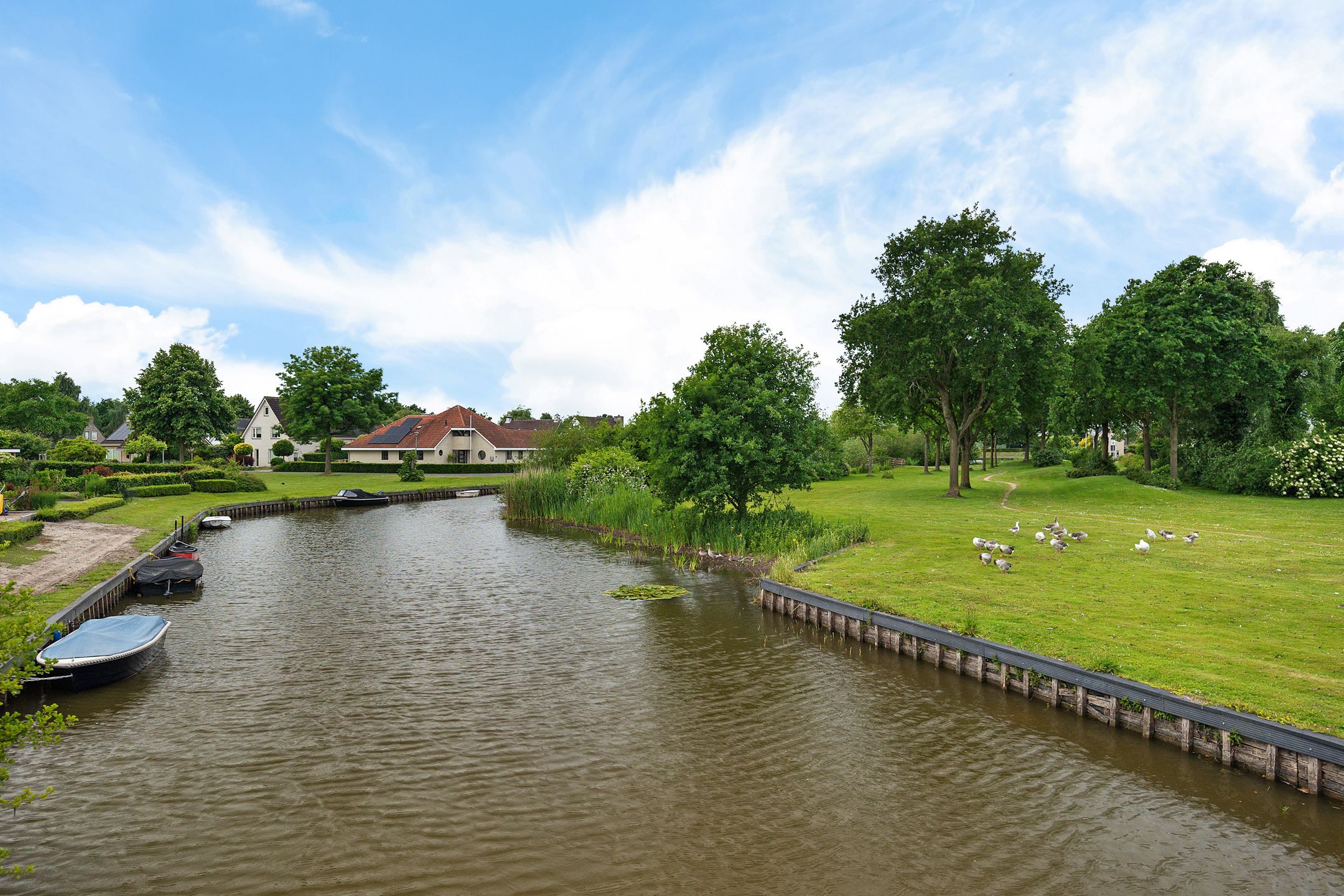 Foto 42 van Dwergstern 3