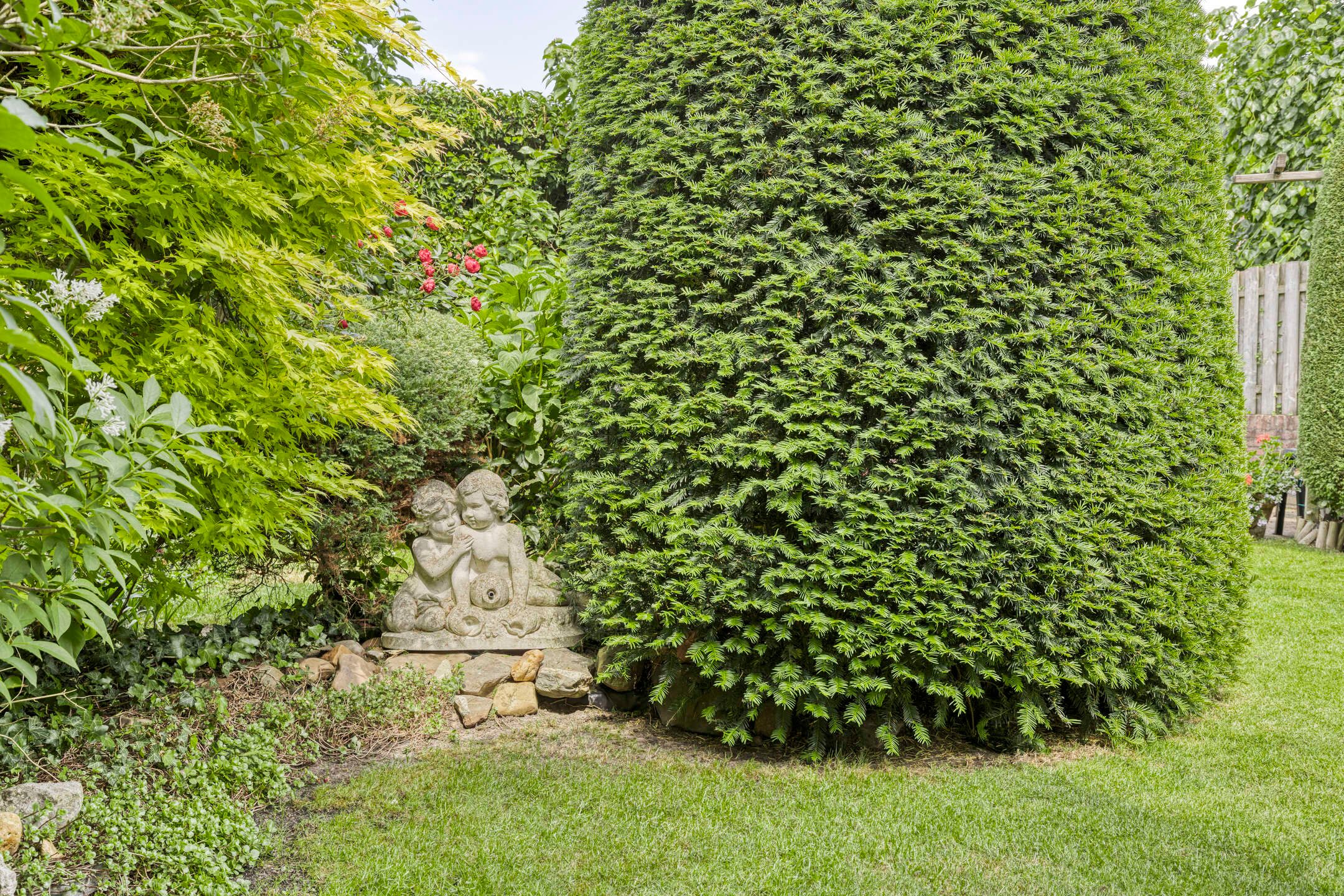 Photo 30 of Lottistraat 6