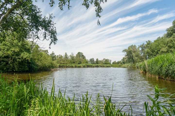 Foto 49 van Noorddammerlaan 10